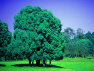 village_of_brookhaven001003.jpg