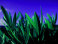 village_of_brookhaven004005.jpg