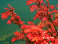village_of_brookhaven006003.jpg